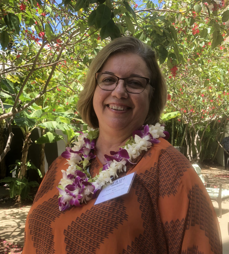 Maui Means Business Maui Soda and Ice Works